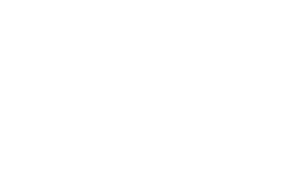 Kicking Horse Ford